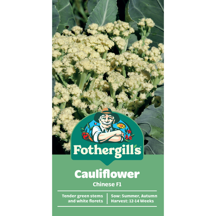 Fothergill's Cauliflower Chinese Seeds