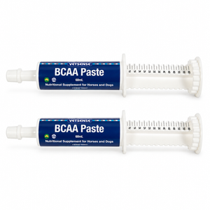 Vetsense BCAA Paste 60mL 2 Pack | 120mL Horse Supplement