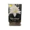 Yarra Valley Bulbs Lilium Bowl Of Beauty - 1 Pack