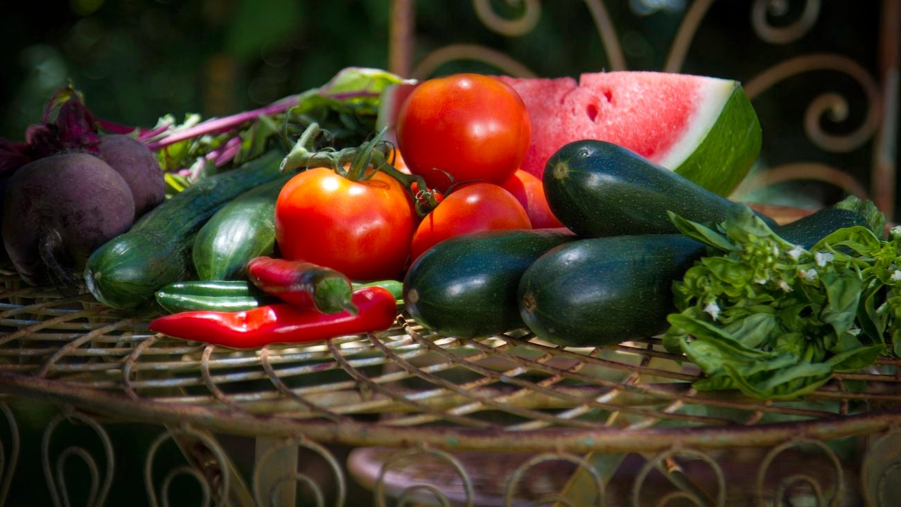 Harvested fruits and vegetables including juicy watermelon, chilli and courgettes.