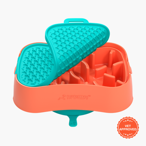 Super Feedy Versatile Small 4 In 1 Slow Feeder Dog Bowl - Salmon Bowl/ Teal Reversible Lick Mat