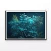 Reef and Underwater Organisms  Print 100% Australian Made 90x60cm  (Poster)
