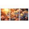3pcs Serene Apple Blossom Tree in Full Bloom Print 100% Australian Made 3 x 40x60cm (Metal Print)