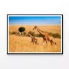 Giraffes & Safari Car in Kenya  Print 100% Australian Made 90x60cm  (Poster)