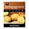 Bloomin' Bulbs- Certified Seed Potato Belmonda - 1kg