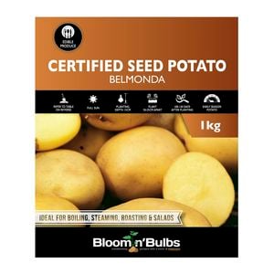 Bloomin' Bulbs- Certified Seed Potato Belmonda - 1kg