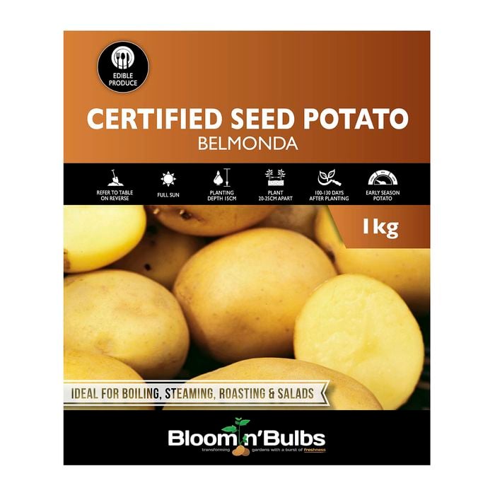 Bloomin' Bulbs- Certified Seed Potato Belmonda - 1kg