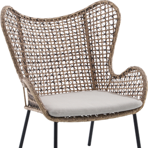 Mimosa Wicker Butterfly Chair