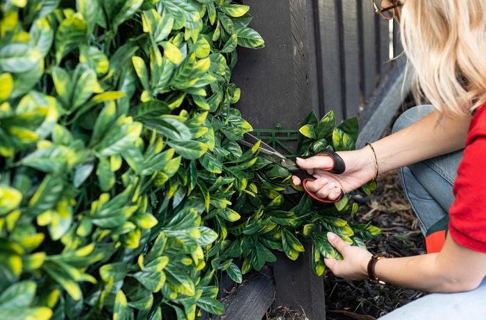 Person trimming artificial hedge.