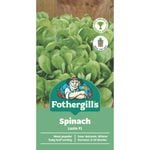 Fothergill's Lazio Spinach Container Seeds