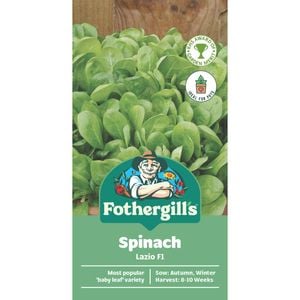 Fothergill's Lazio Spinach Container Seeds