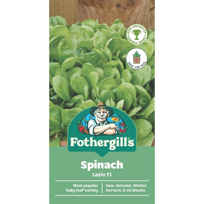 Fothergill's Lazio Spinach Container Seeds