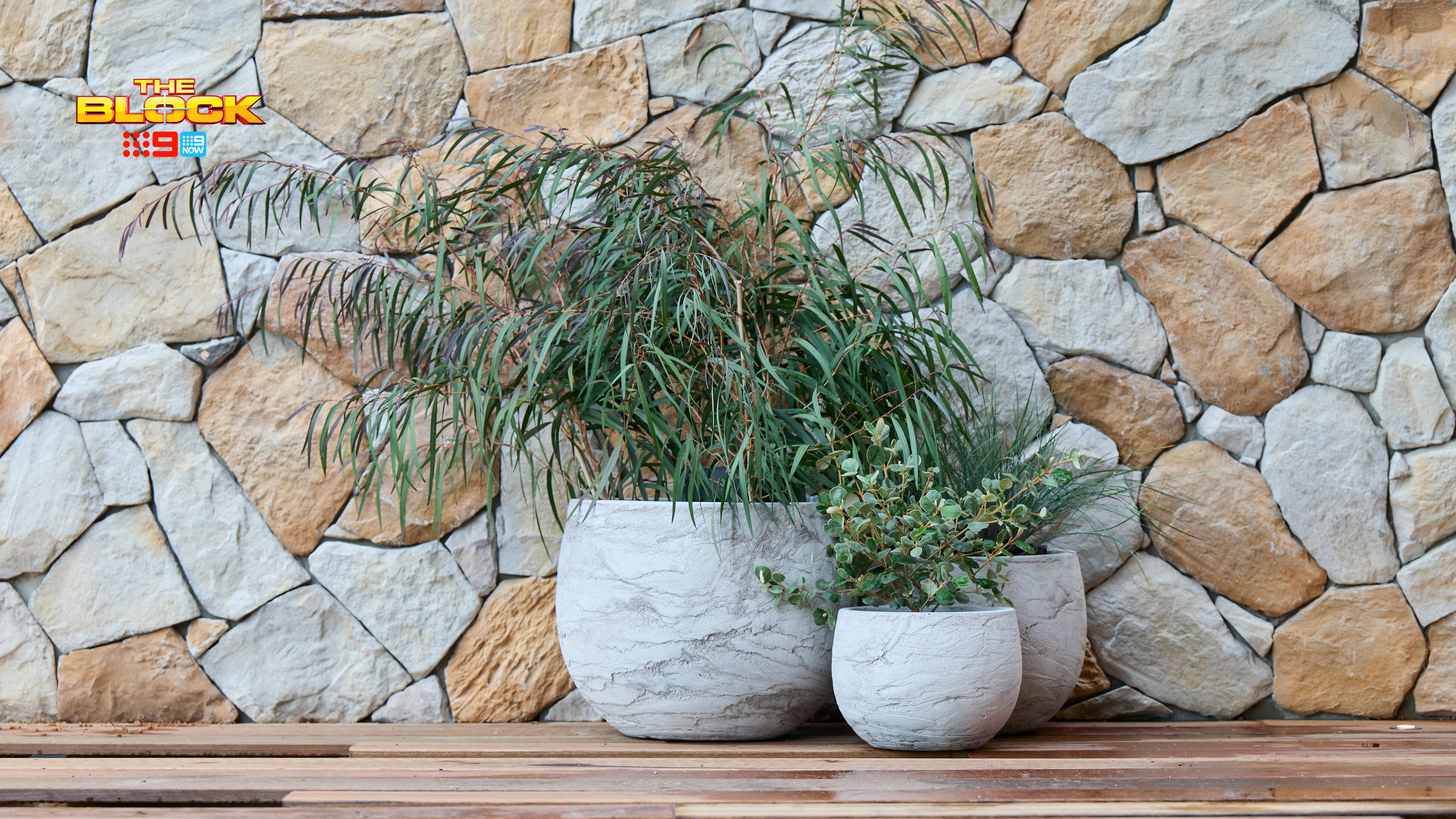 Potted greenery arranged on a timber deck against a textured stone feature wall.