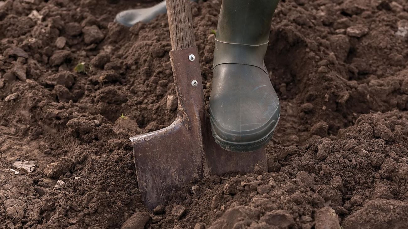 Garden shovel been used to dig a hole