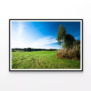 Grassland & Trees at Sunrise  Print 100% Australian Made 120x90cm  (Poster)