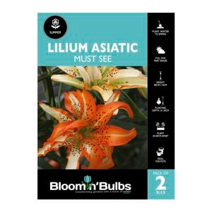 Bloomin' Bulbs Lilium Asiatic Must See - 2 Pack