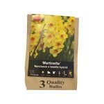 Yarra Valley Bulbs Fragrant Daffodil Martinette - 3 Pack