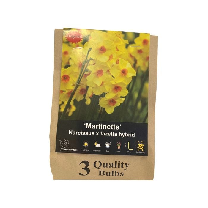 Yarra Valley Bulbs Fragrant Daffodil Martinette - 3 Pack