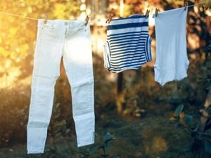 A pair of white jeans, a striped top and plain white t-shirt hang on a clothesline.