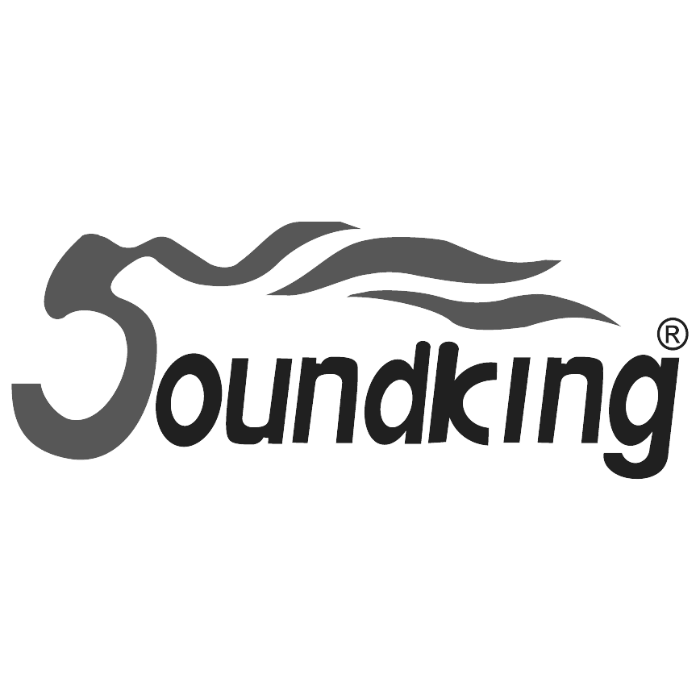 Soundking