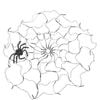 Mirabella Light-Up Spider Web  