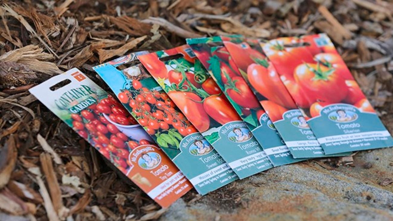 Six different varieties of tomatoes in seed packets.