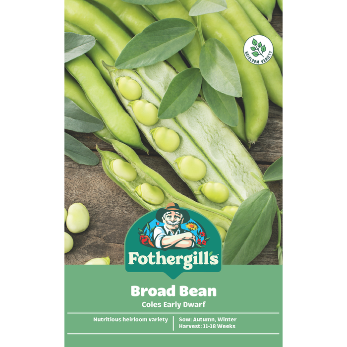Fothergill's Coles Early Dwarf Broad Bean Vegetable Seeds