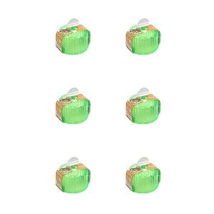 6PK Dudley's World Of Pets Small Pet Exercise Wheel Green