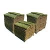 Sir Walter DNA Certified Buffalo 140m² Soft Leaf Buffalo Turf - Pallet