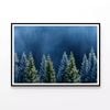 Forest Of Pine Trees  Print 100% Australian Made 90x60cm  (Poster)