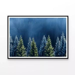 Forest Of Pine Trees  Print 100% Australian Made 90x60cm  (Poster)