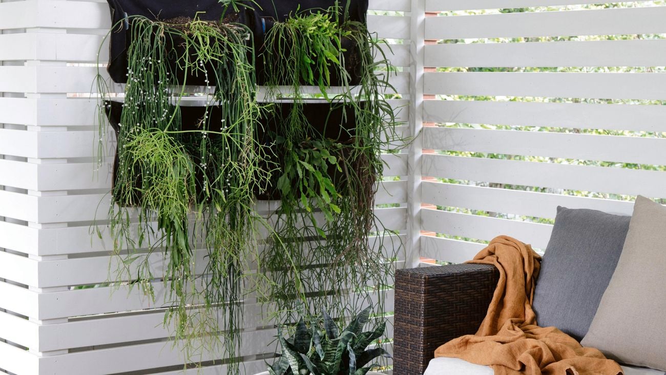 Outdoor patio with furniture, surrounded by a white fence with vertical planting