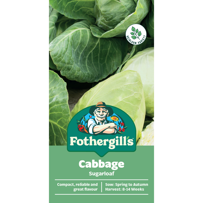Fothergill's Sugarloaf Cabbage Vegetable Seeds