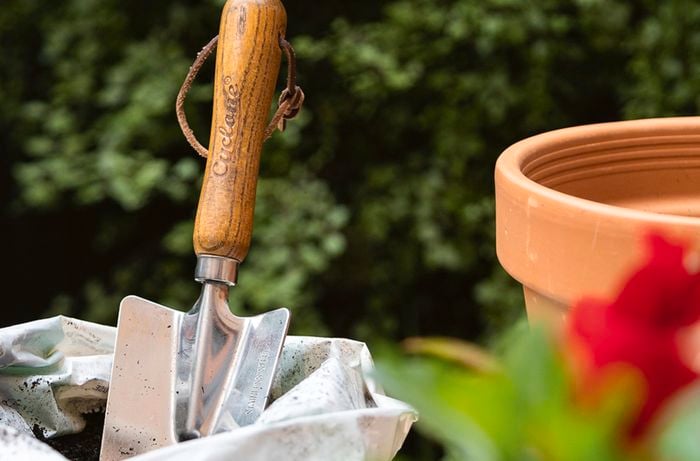 Garden hand tool placed in  a bag of dirt  with green hedge bush as back ground
