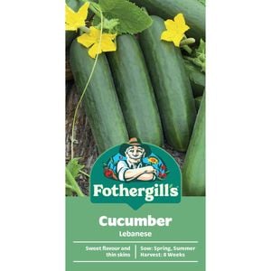 Fothergill's Lebanese  Cucumber Vegetable Seeds
