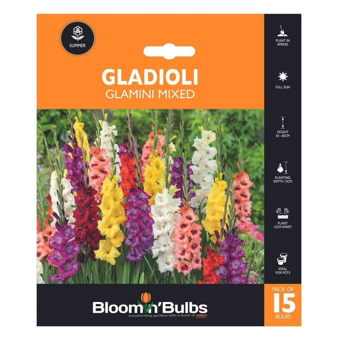 Bloomin' Bulbs Orange L/Scape Gladioli Glamini Mixed - 15 Pack