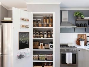 An organised pantry in a kitchen.