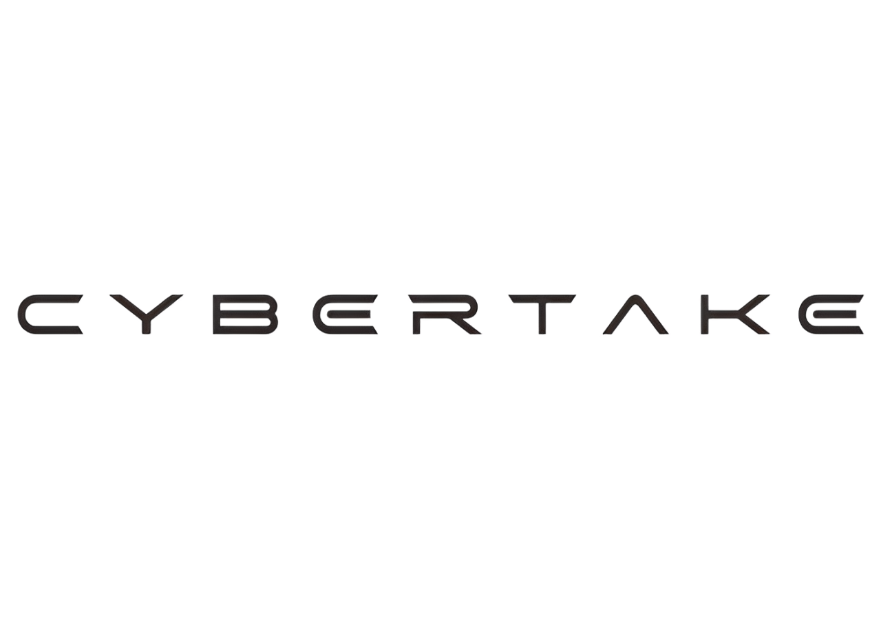 Cybertake
