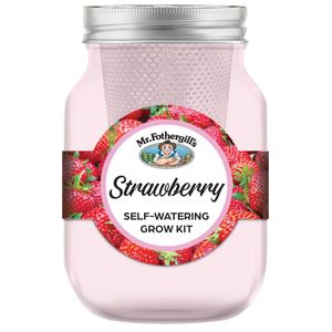 Mr Fothergill's Self Watering Mason Jars Grow Kits- Strawberry