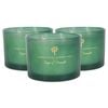 Nicola Spring Soy Wax Scented Candles 350g - Sage & Seasalt - Pack Of 3 Double Wick Glass Jars - Herbal Spa Fragrance Long Burn