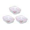 3PK Lemon and Lime Yorkshire Glass Rectangle Clip Seal Container 2.3L Food Safe