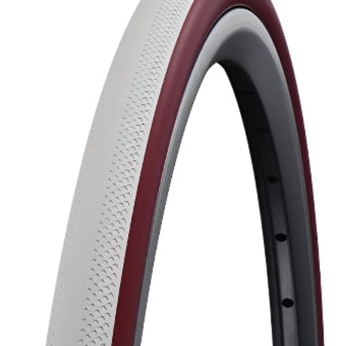 Schwalbe Wheelchair Dunk King 24 X 1.00" (25-540) Evolution Line White/bordeaux Colour