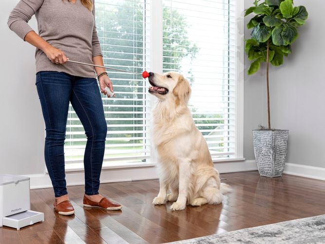 Petsafe- Carousel 11- Brand page