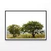 Trees in the Grasslands  Print 100% Australian Made 90x60cm  (Poster)