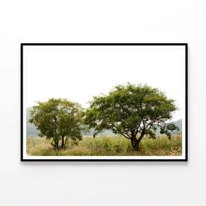 Trees in the Grasslands  Print 100% Australian Made 90x60cm  (Poster)