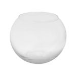 EDEN 8cm Glass Bowl Planter