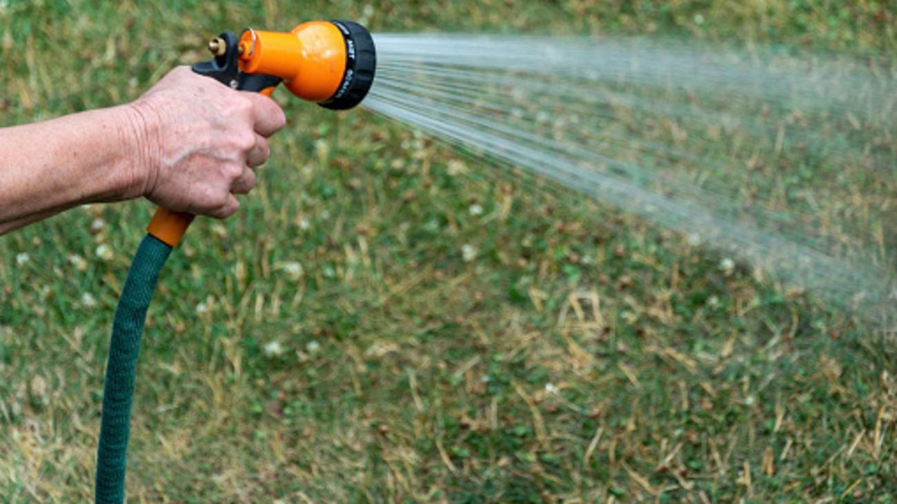 hand using garden hose to water lawn.