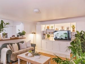 Wide view of a styled living room featuring a green sofa, coffee table, indoor plants, and white built‑in cabinetry with a television.