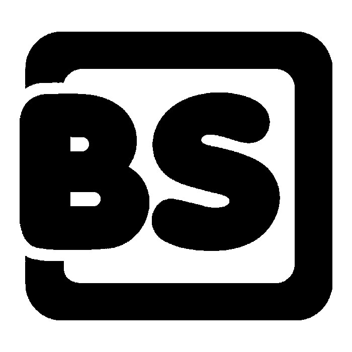 BS Toys