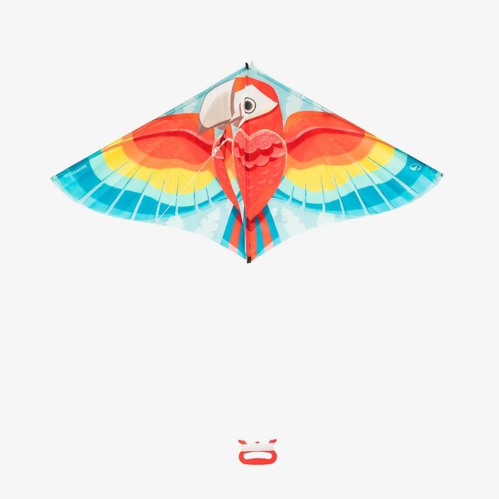 Decathlon - Kids’ Static Kite - Mfk 100 Parrot - One Size